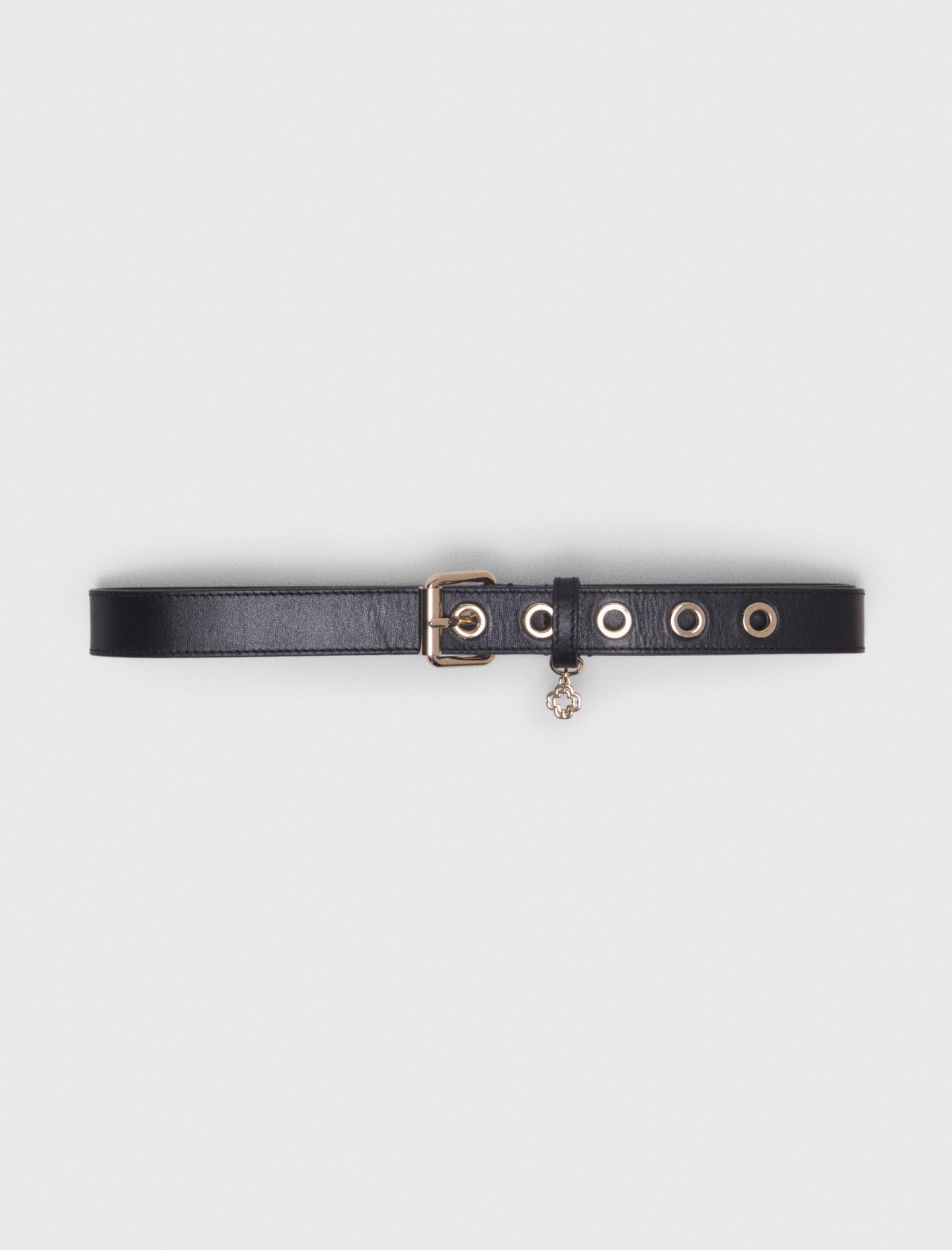 BELTS
